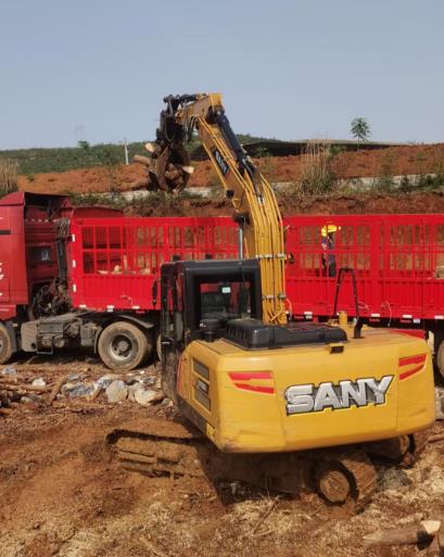 松木原木、松木條，漲勢如虹，現在搶購最劃算(附松木原木供應廠家介紹)