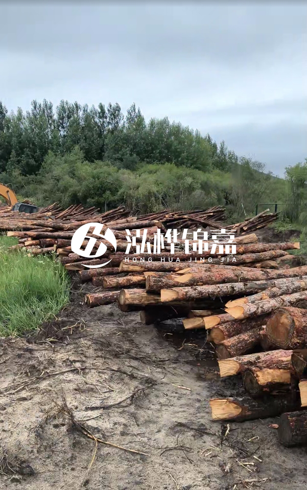 甘肅河道清淤工程公司-為什么要進(jìn)行河道清淤?