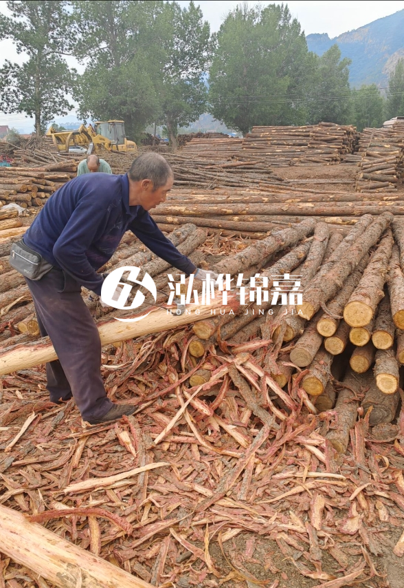 東營河道清淤專業施工隊-不同型號挖機清淤能力對比?