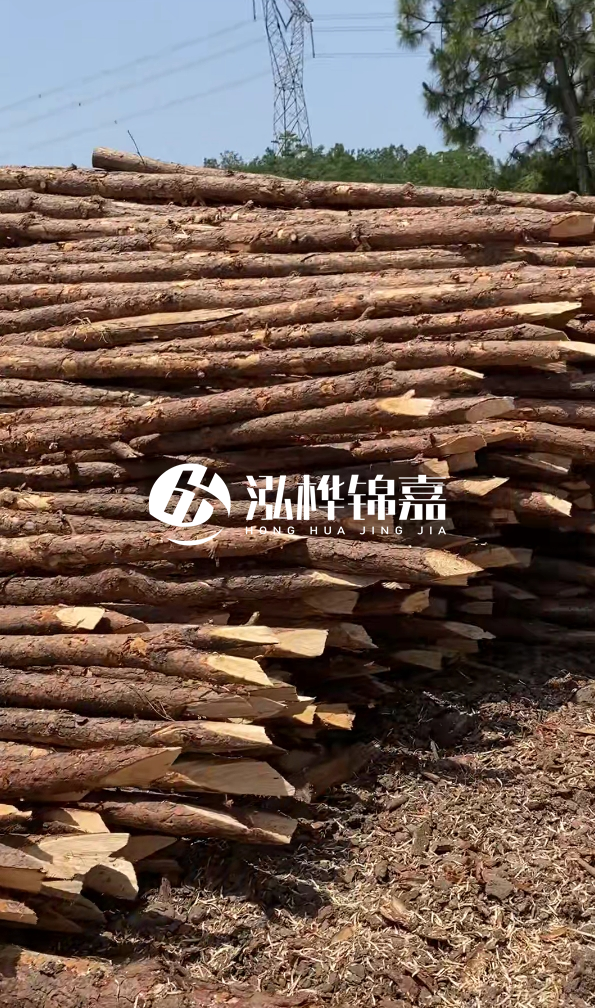 鄂州挖機打木樁專業施工-如何選擇高質量的河道杉木樁?