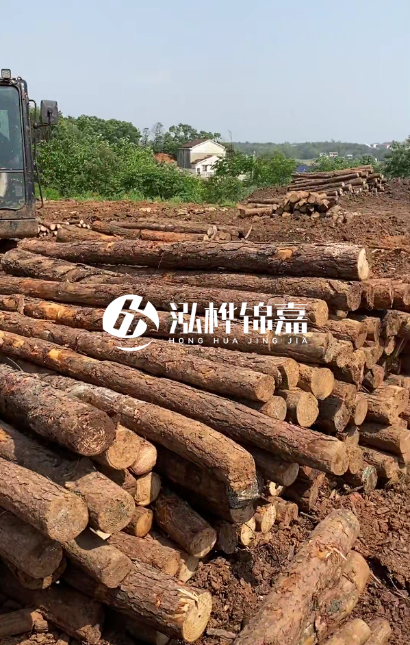 荊州挖機打木樁專業施工-河道打樁木被水浸泡后會不會變形嚴重?