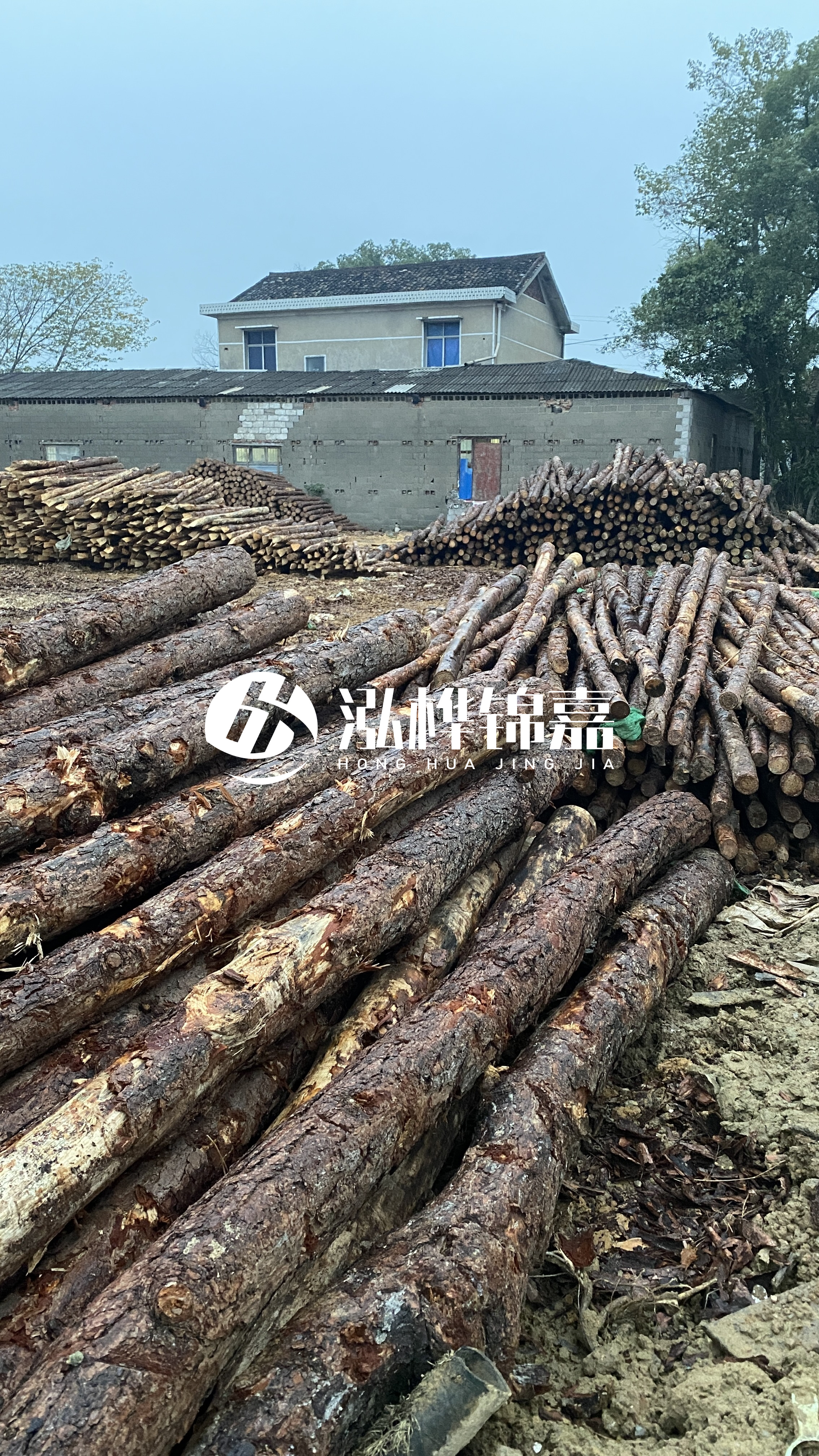 臨滄松木樁源頭廠家-油松打樁木的儲存條件有哪些要求?