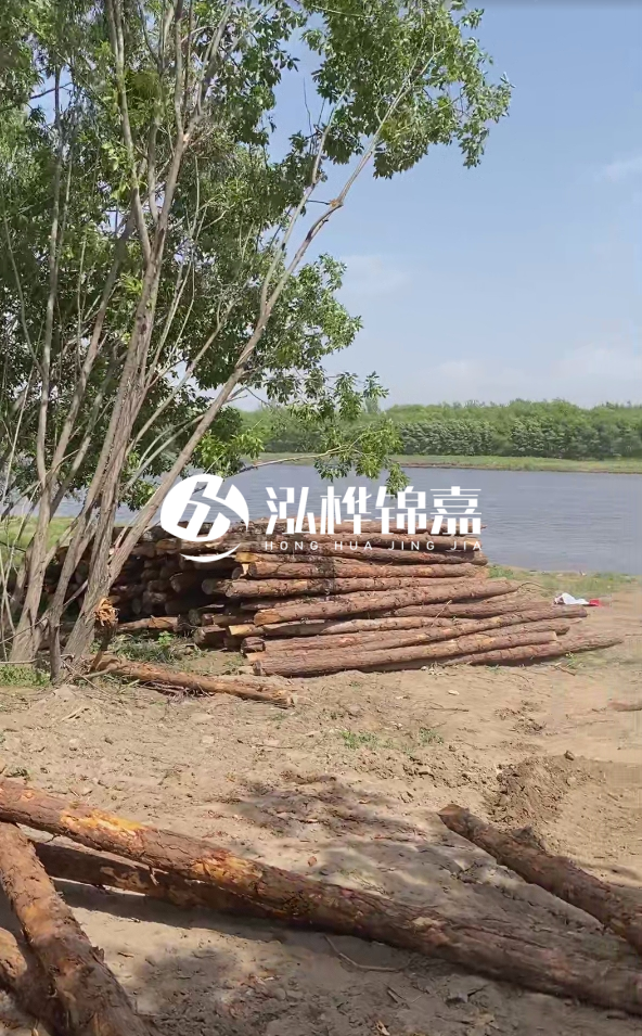 慶陽挖機打木樁專業(yè)施工-松木打樁過程中如何避免木材開裂?