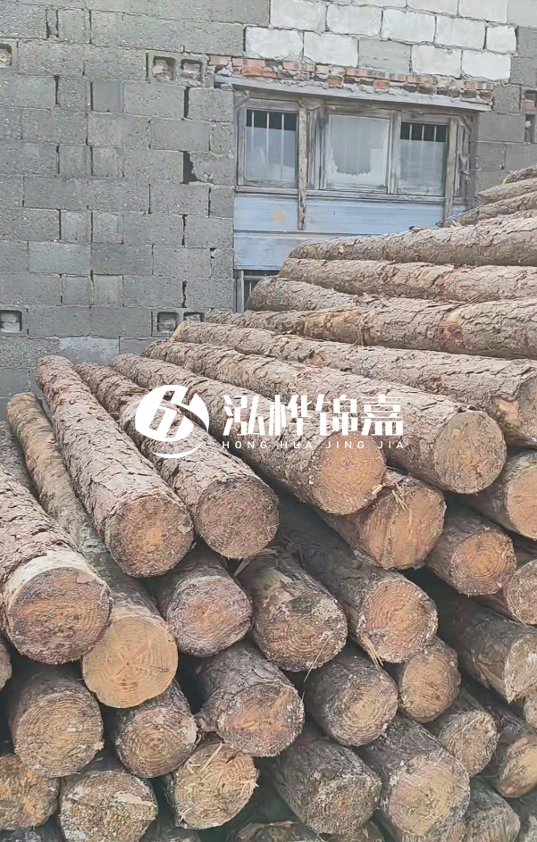 2025最新松木樁價格揭秘:松木樁一方到底多少錢?