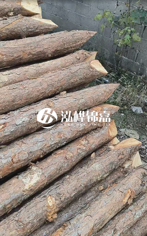 松木樁哪里能大量供應?4米20公分松木樁價格是多少?