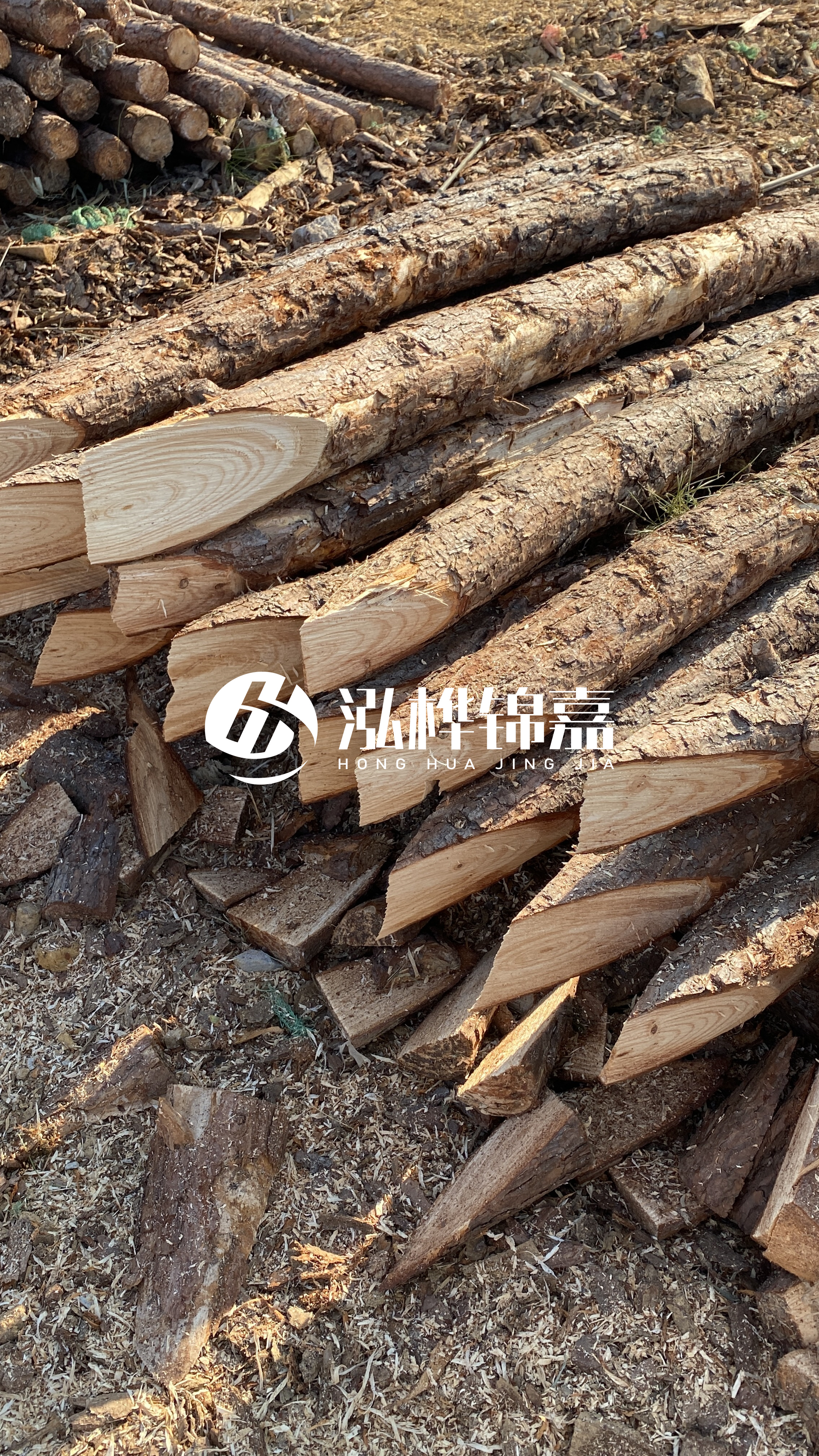 3米8公分松木樁價格是多少?市場最新報價大公開!