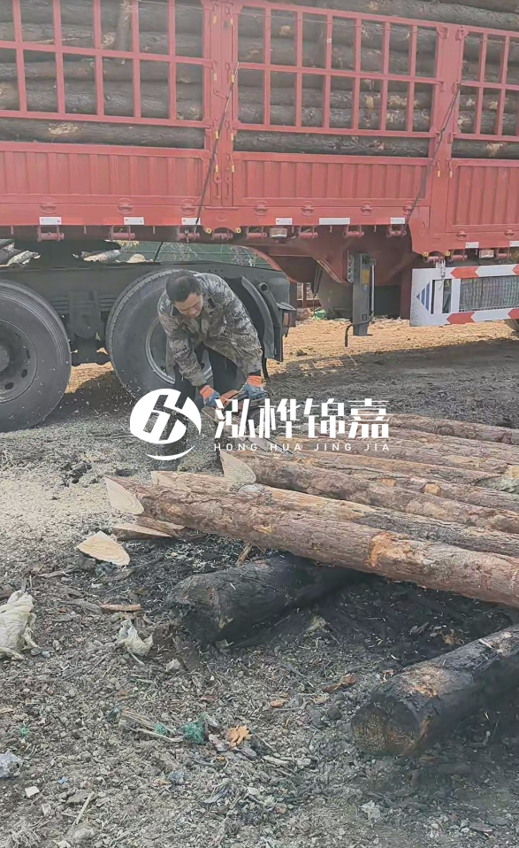 2米松木樁多少錢一根？15-20CM直徑價格是多少？