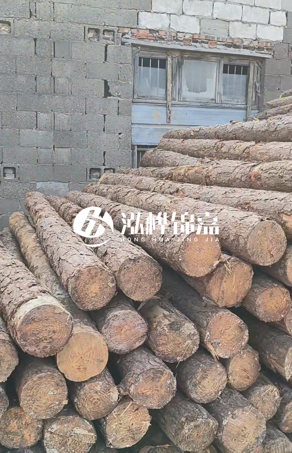 3米松木樁多少錢一根？14公分松木樁價格是多少？