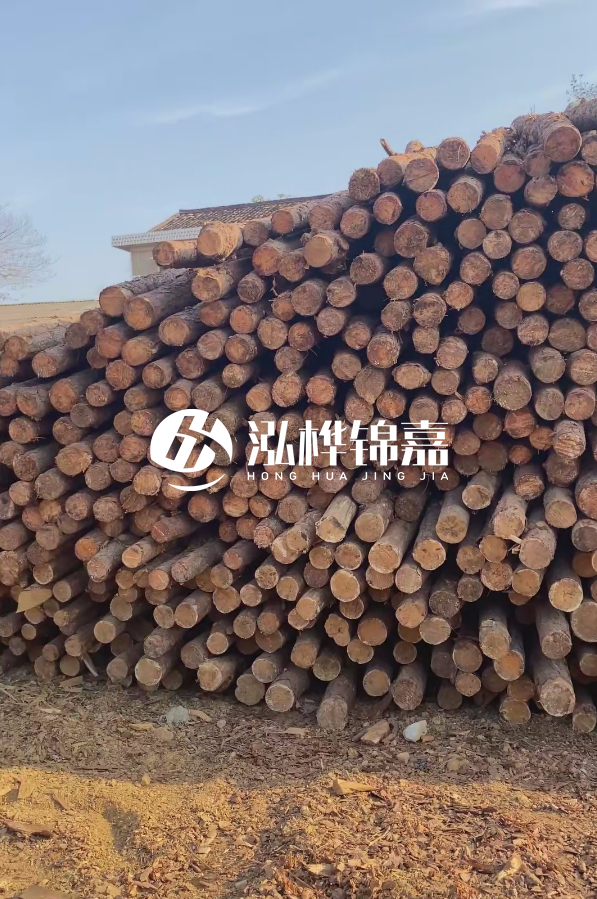 4米8-10公分松木樁大概多少錢一根？15公分價格又是多少？