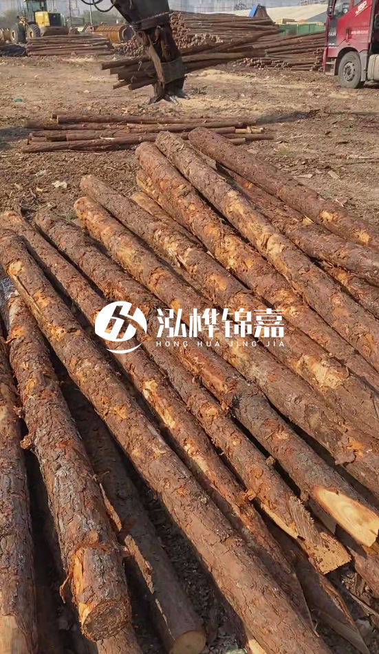 4.5米松木樁直徑14一根多少錢？5米14厘米多少錢？