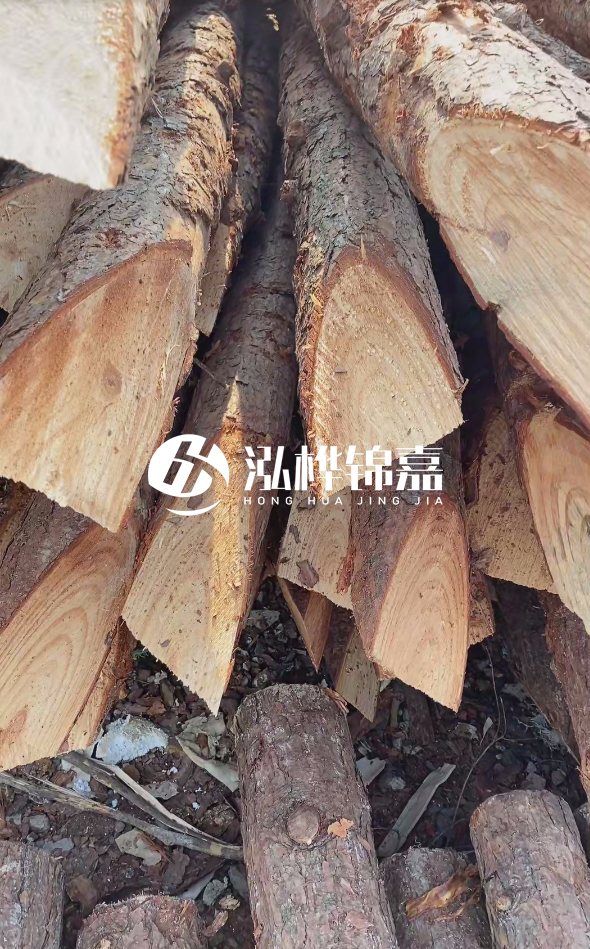 3米杉木樁梢頭12大頭多少?賣多少錢一根?