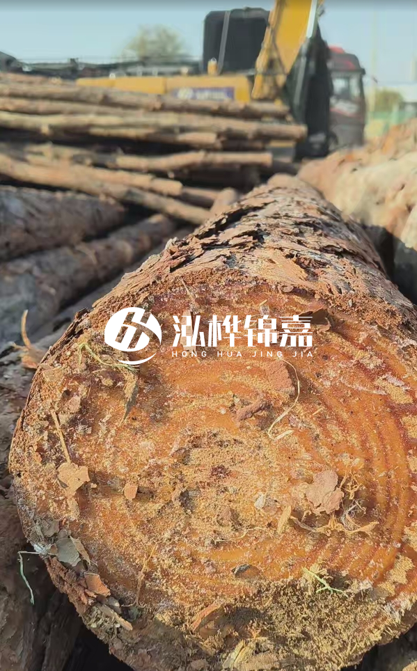 杉木樁價格多少錢一方-3米直徑14公分杉木樁價格?