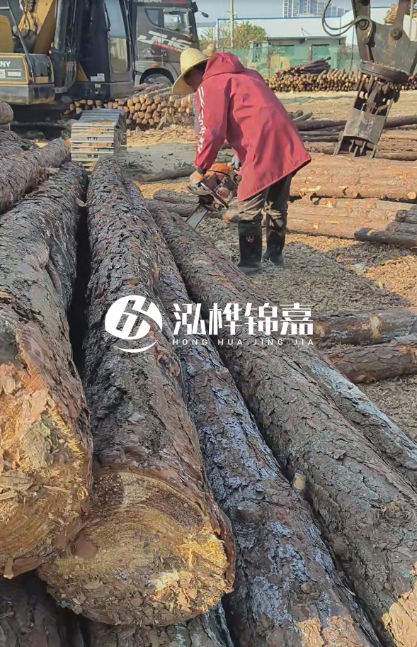 長沙打樁木批發(fā)廠家在哪里?聯(lián)系方式是什么?