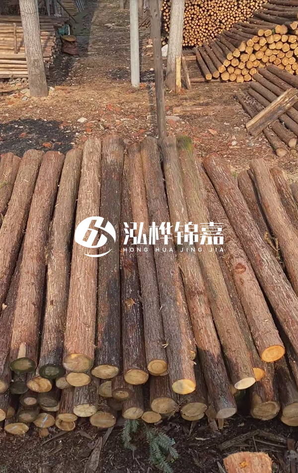 河道護(hù)坡選松木樁還是杉木樁?河道木樁一根多少錢?