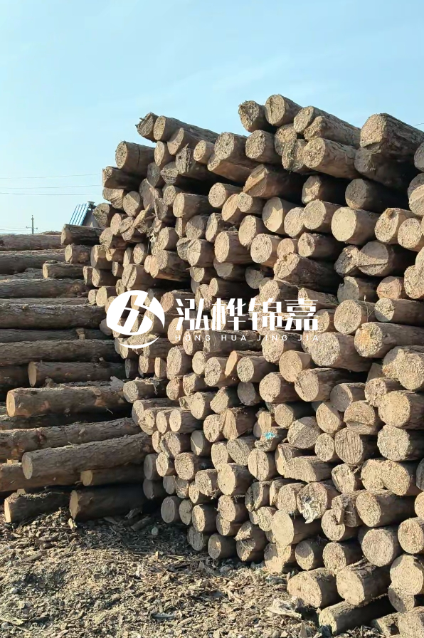 江西哪里有松木樁賣-4米12-14公分松木樁價(jià)格揭秘!