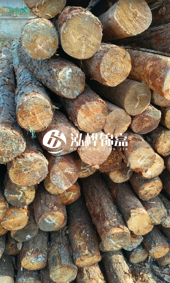 油松3米12公分多少錢一根?油松4米12公分多少錢一根?