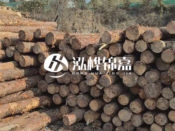 落葉松木材的主要產地在哪里?為什么比其他松木更耐腐蝕?