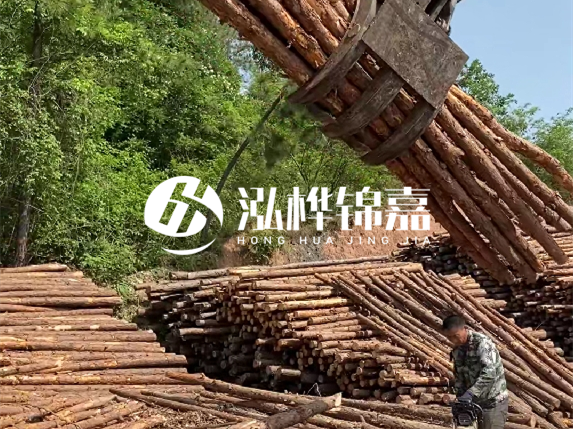 哪里能買到優質 3 米松木樁?長沙有松木樁批發工廠嗎?