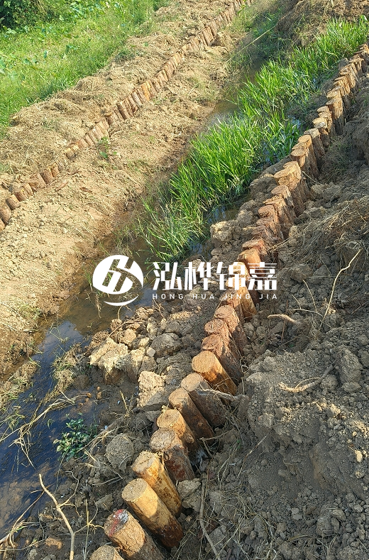 湖南松木樁批發廠家直銷-松木樁做碳化多少錢一根?