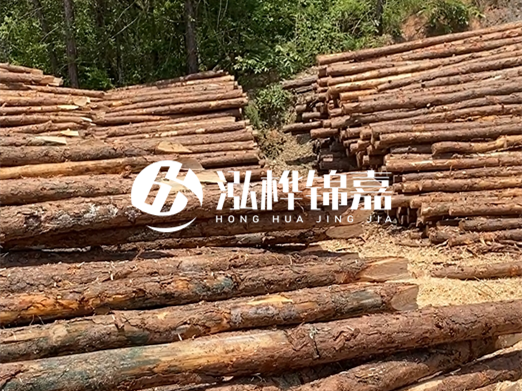 松木樁的運輸費用是否包含卸車費?卸貨時需要注意哪些安全問題?