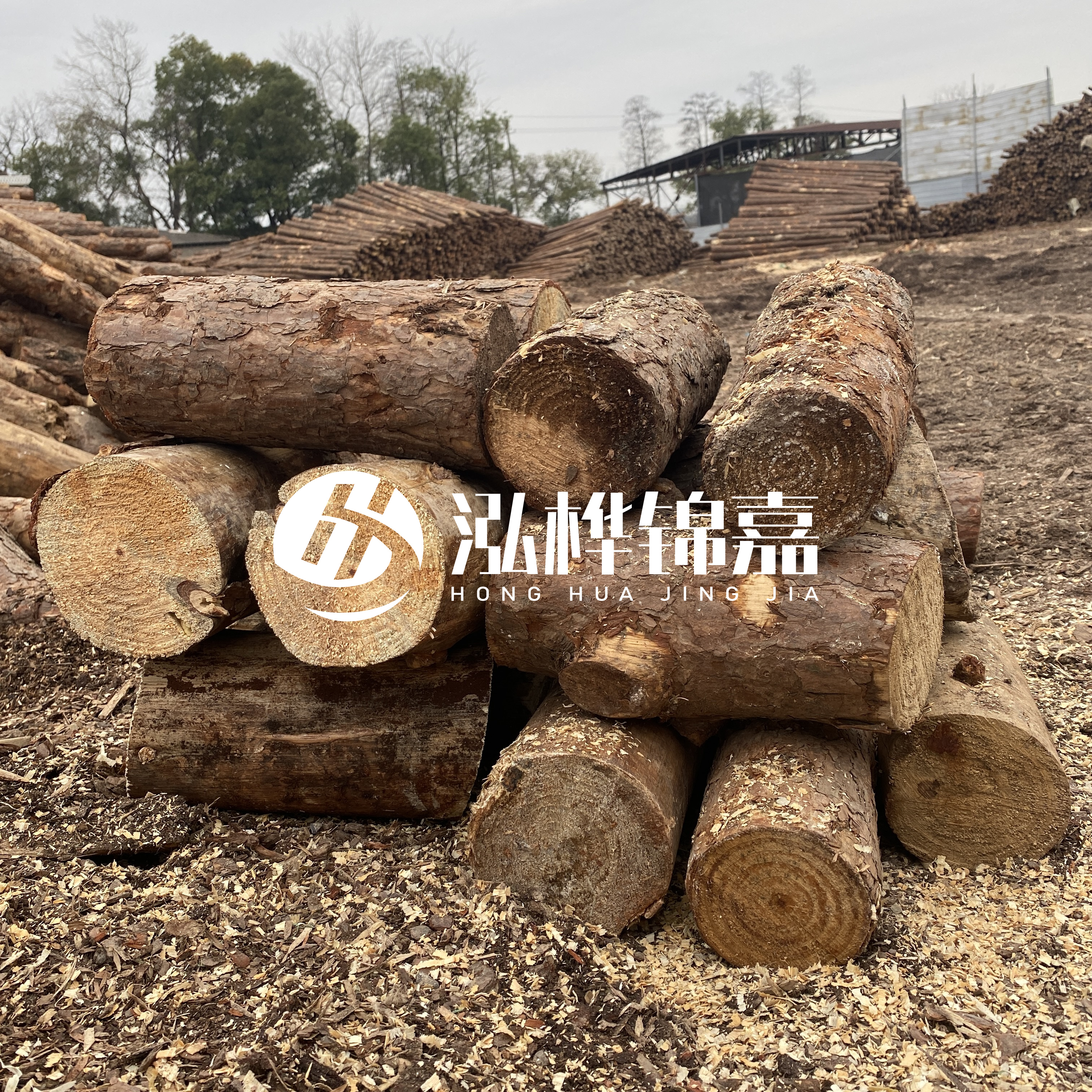 打樁木邊角料能做什么用途？怎么賣的？