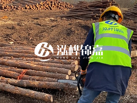 哪些木樁廠家能提供快速定制服務(wù)?哪些木樁廠家在國(guó)內(nèi)有多個(gè)生產(chǎn)基地?