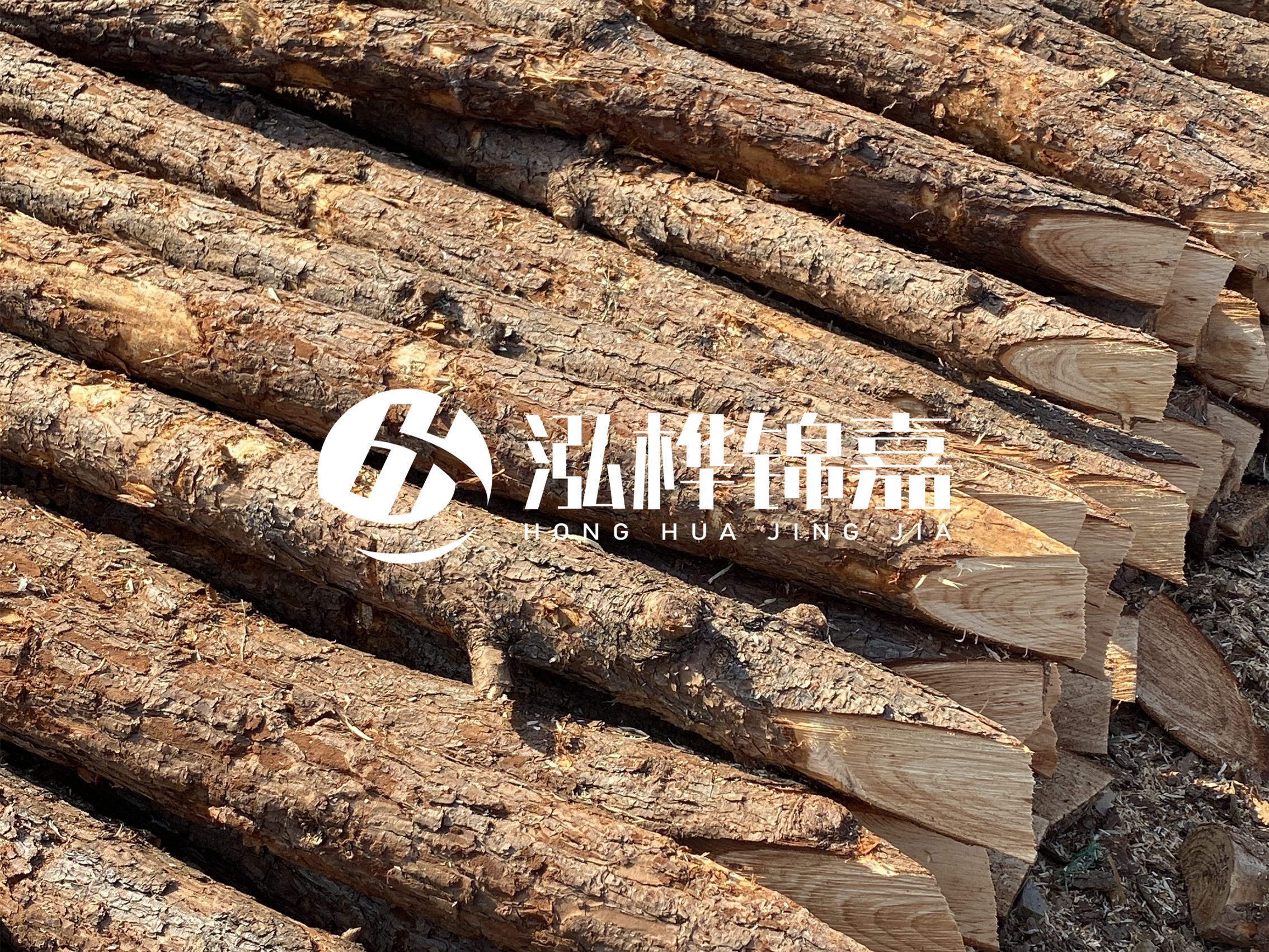 8 米超大直徑松木樁的價(jià)格是多少？帶皮和去皮松木樁價(jià)格差多少？