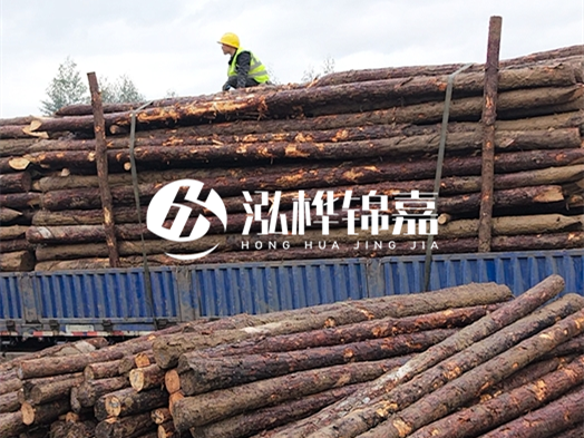 防洪防汛用松木樁的單價(jià)是多少？4米長10公分多少錢一根？