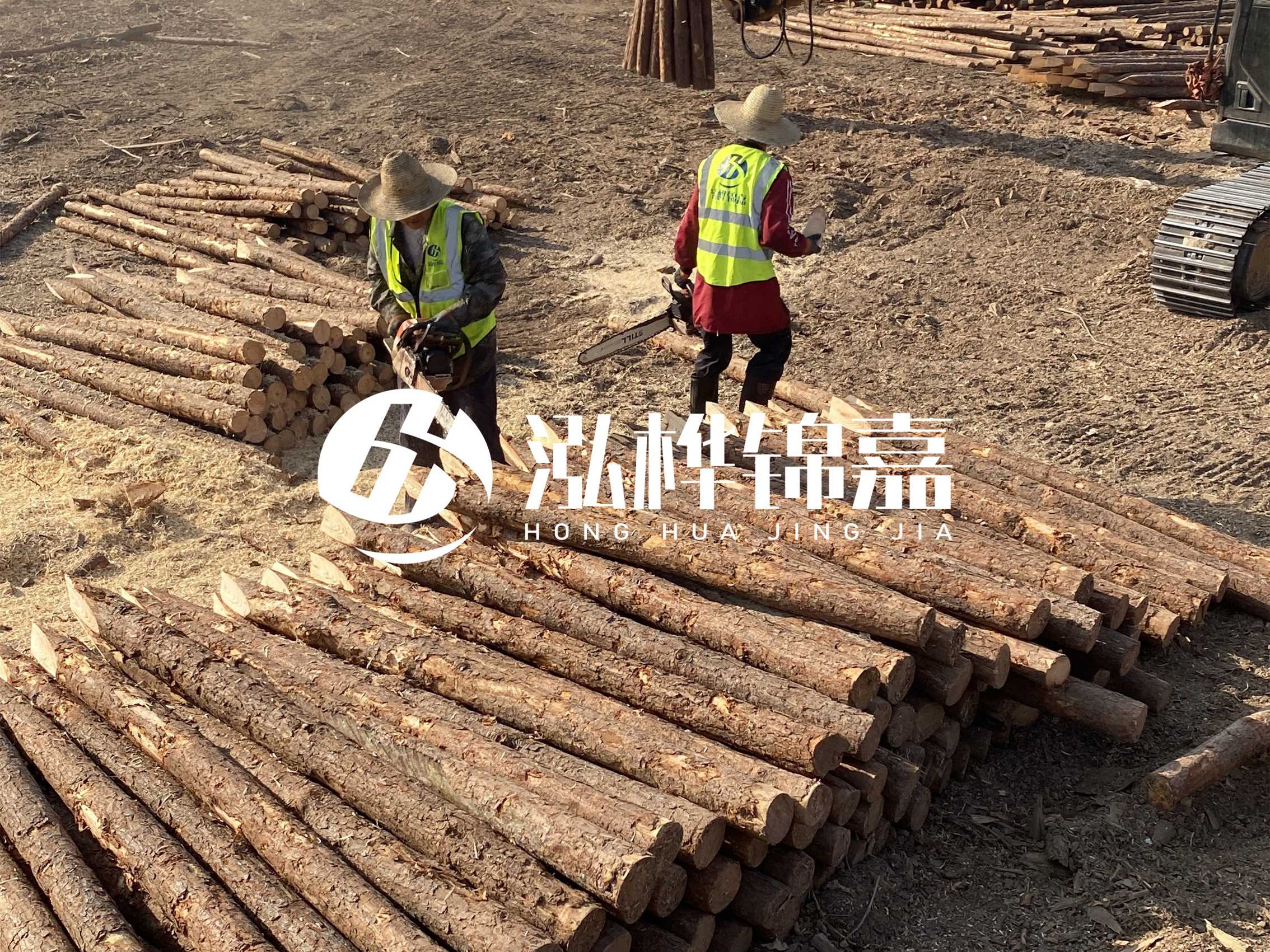 河道木樁報(bào)價(jià)在汛期前后會(huì)有波動(dòng)嗎？什么時(shí)候買最便宜？