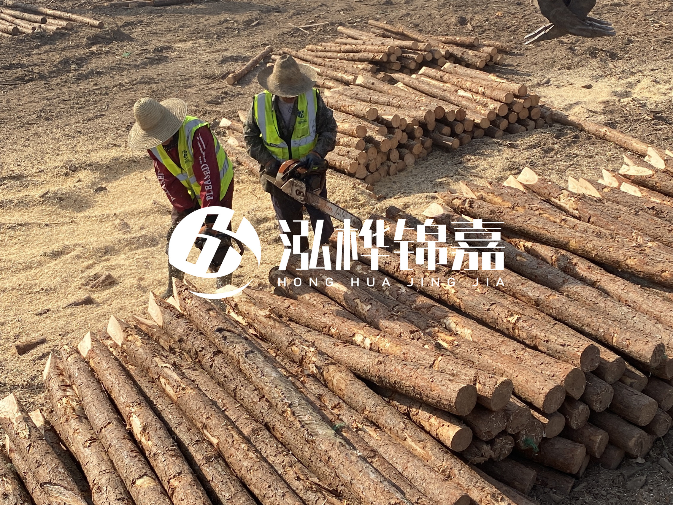 河北打樁木廠家主要生產(chǎn)哪些材質(zhì)的打樁木？產(chǎn)品有哪些規(guī)格？