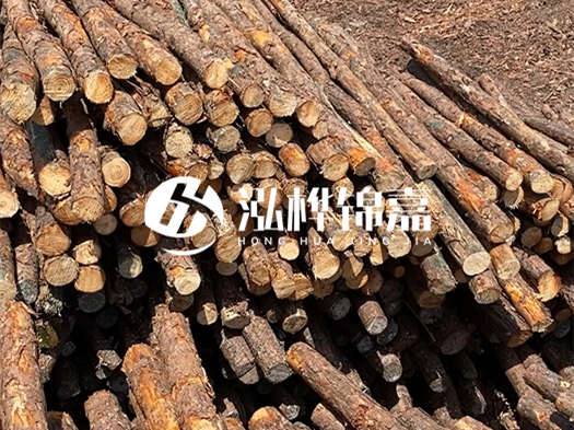 江西有哪些松木樁生產(chǎn)廠家?松木樁廠在什么位置?