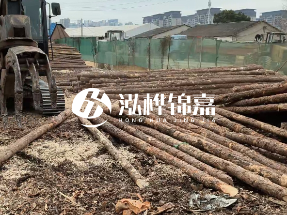 2 米長度松木樁多少錢？松木樁 10 一 15 公分價格？