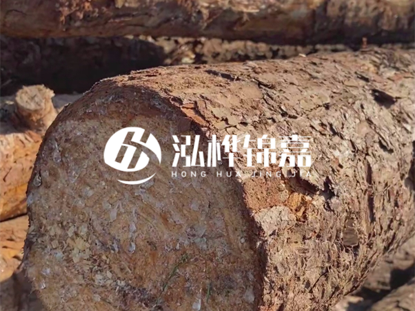 松木樁如何做到千年不腐的？松木樁打地基耐用年限揭秘