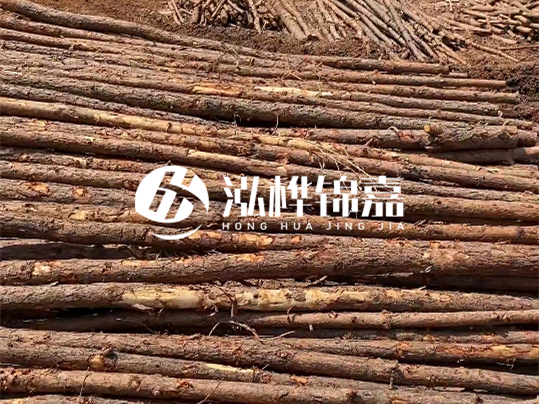 10公分的木材多少根為一方 - 4米10公分樹多少根為一方？