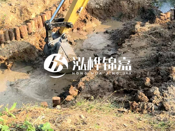 廣東松木樁批發廠家 - 3 米小頭 8CM 松木樁多少錢?