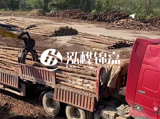 四川松木樁廠家泓樺錦嘉-哪一種打樁木最便宜?