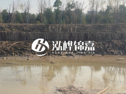 松木樁打樁木的采購渠道有哪幾種?3米小頭13CM多少錢一根?