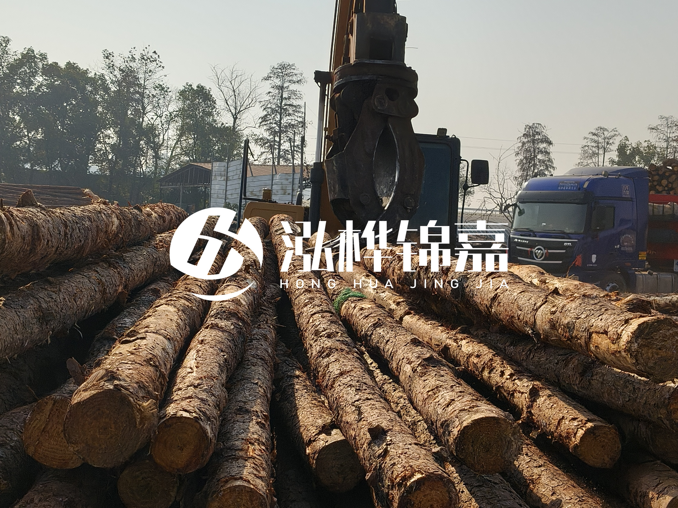 松木樁可以用來做什么？常用于哪些工程？