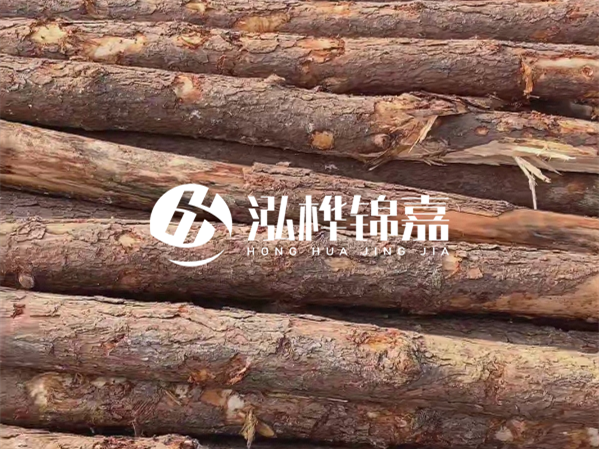 松木樁施工隊泓樺錦嘉 - 2 米長松木樁多少錢一根？