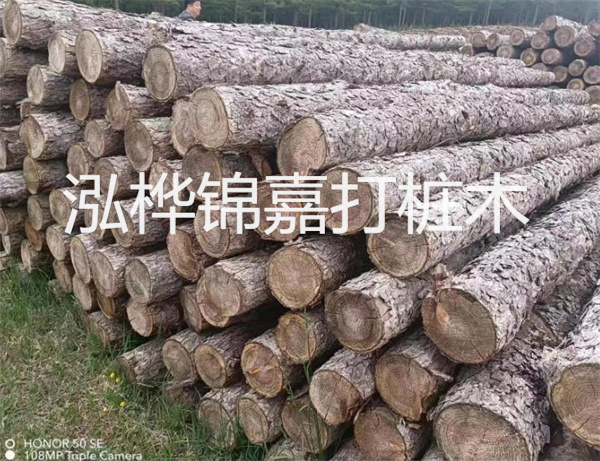 高效修補,保駕護航!水泥路面高強度修補料為您解決煩惱!