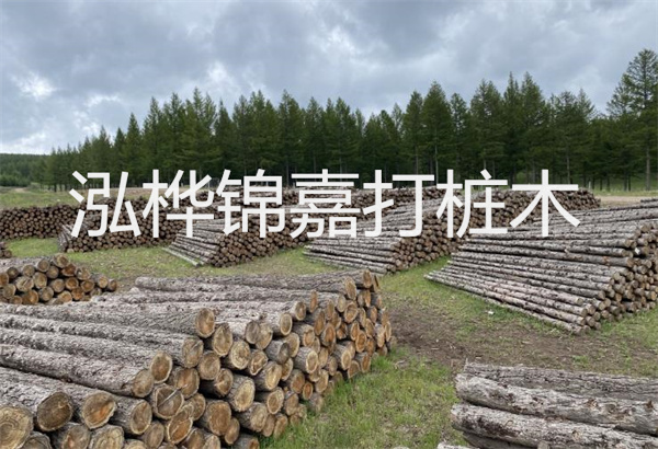 預(yù)制松木樁施工工藝：優(yōu)質(zhì)材料，高效快速，堅(jiān)固耐用