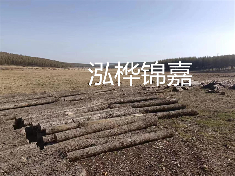 以質量為導向,探索實用性與高效性——仿松木樁施工機械價格