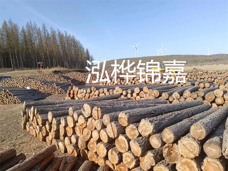 用路基松木樁施工方案提升工程質(zhì)量描述：了解路基松木樁施工方案的重要性，提高工程質(zhì)量關(guān)鍵詞：路基松木樁，施工方案，工程質(zhì)量